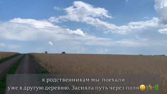 Винтажная посуда фарфор. Нашла у родственников в деревне интересные советские чашки тарелки...