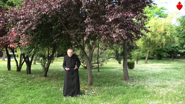 Język poza słowami [Tuba Cordis 22 VIII A.D. 2021] смотреть онлайн