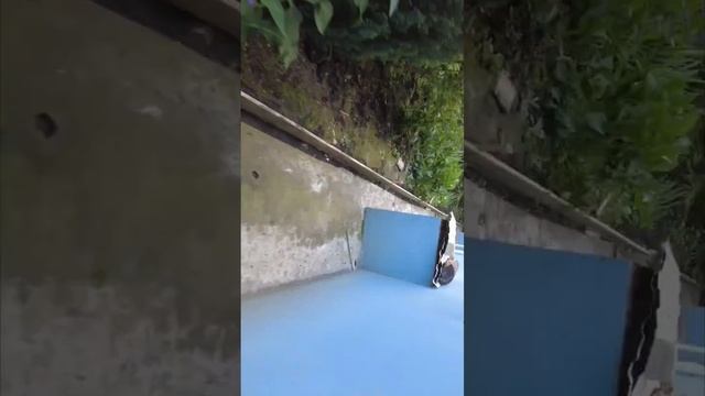 Подготовка бетонной отмостки к заливке бетона
