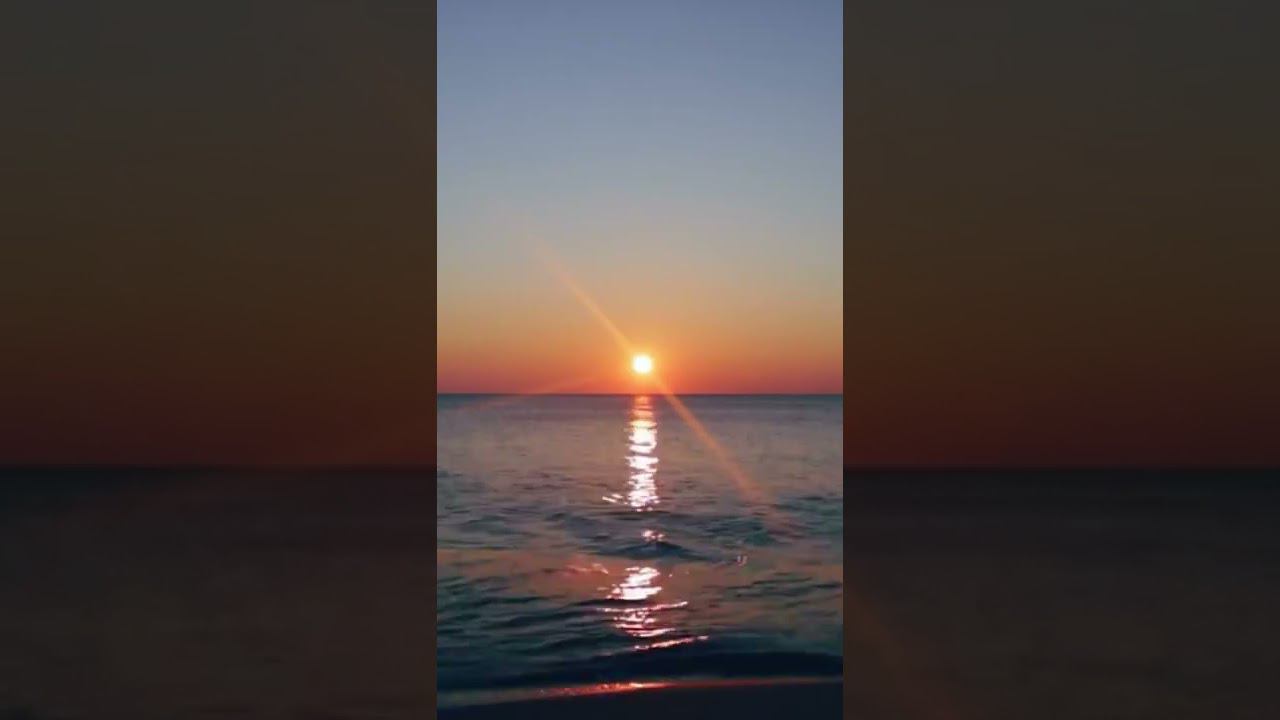 Стих _ Даша Вороненко