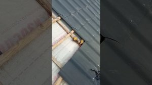 Устройство кровли. Шифер. Закос под натуральную черепицу.