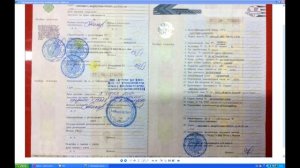 Как определить ПТС ДУБЛИКАТ за одну секунду Эксперт