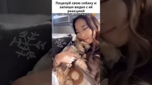 Поцелуй свою собаку и посмотри её реакцию