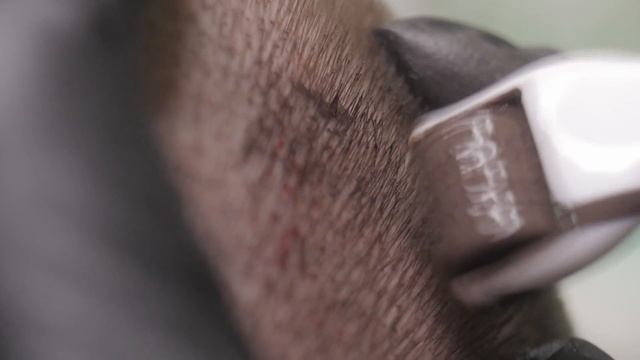 Подробные кадры трихопигментации. Что это такое?