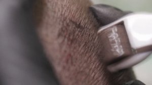 Подробные кадры трихопигментации. Что это такое?