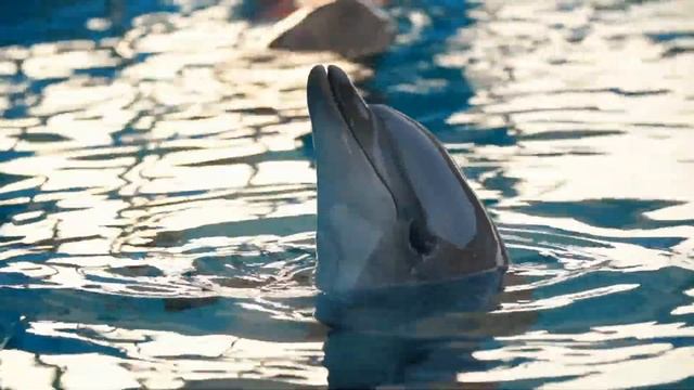 Long playlist of relaxing soft piano. смотреть онлайн