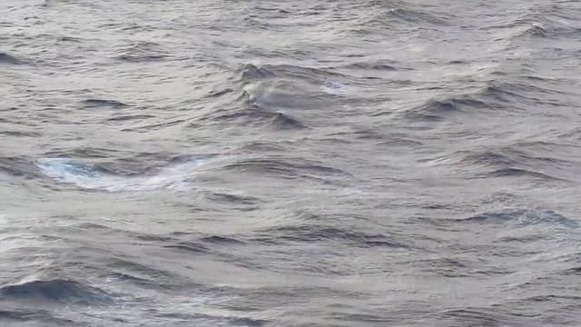 Canon Powershot sx510 hs - Photo & Video Low Light Performance смотреть онлайн