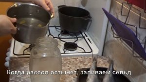 Селедка соленая в домашних условиях.  Вкусный рецепт.  Малосольный посол.