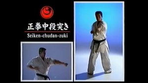 Сэйкен цуки, 10 кю киокушинкай каратэ