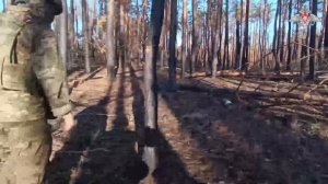 Кадры захваченных позиций ВСУ на Купянском направлении