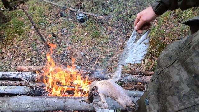 Этого МОНСТРА мы ждали все дни и вот он взят!Осень на Васюгане 4 серия. Рыбалка смотреть онлайн