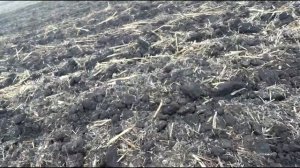 Т-150+ глубокорыхлитель ПЧН 2019.