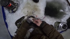 налим, чистить не перечистить