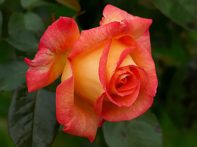 ТӮХТА ИБРОҲИМОВА - ДИДОР НАБИНАМ смотреть онлайн