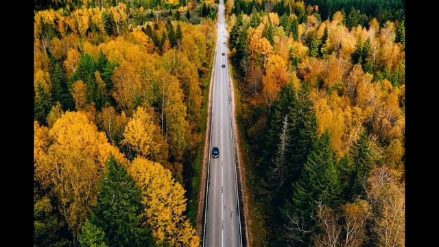 Аutumn Evening Music, Relaxing Instrumental Music, Coffee Shop Ambience смотреть онлайн