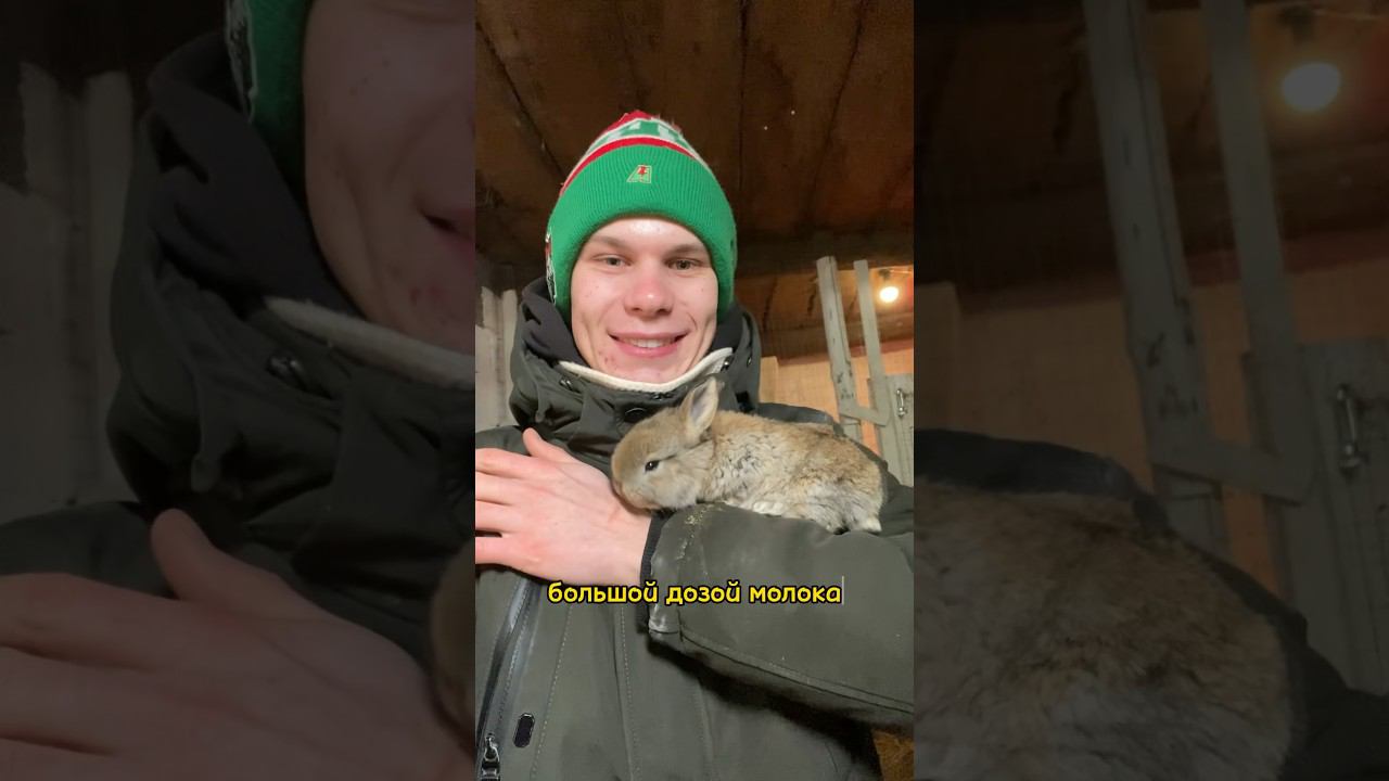 Будни в деревне #кириллстепанов # смотреть онлайн