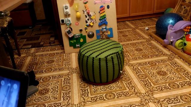 Бенгал играет надувным пуфиком