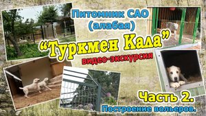 Видео-экскурсия по питомнику. Построение вольеров.