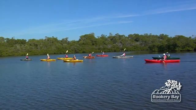 Rookery Bay Guided Kayak Tours смотреть онлайн