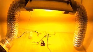 Днат 250 против Led освещения. ДНАТ против LED. Сравним Днат и Квантумборд.