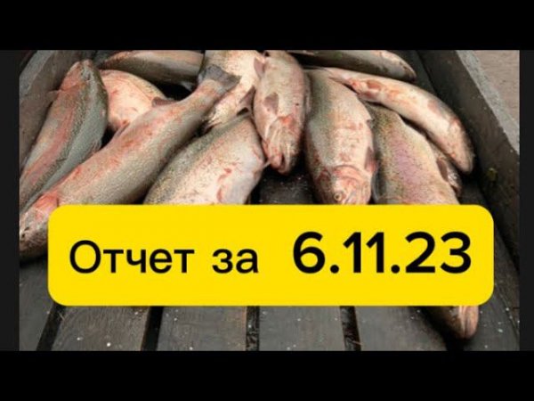 Немного слов, но полезных от наших клиентов