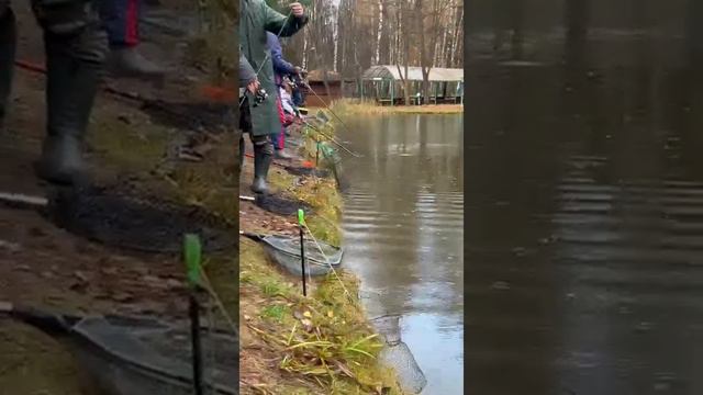 30.10.2022 Голицыно Fish (4) смотреть онлайн