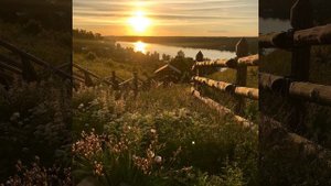 СЕРГЕЙ ЕСЕНИН " РАЗБУДИ МЕНЯ ЗАВТРА РАНО "