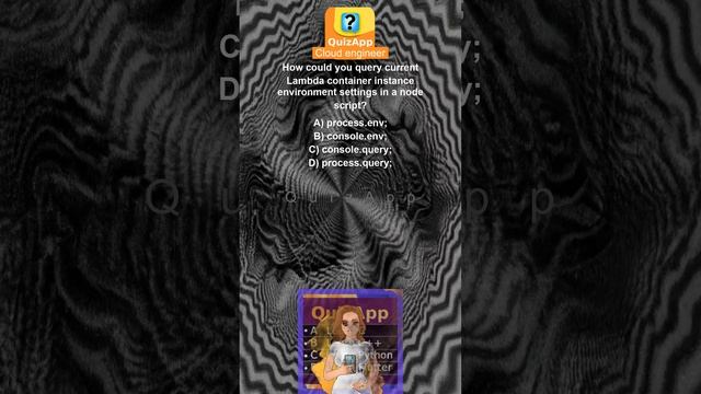 Cloud engineer How could you query current Lambda container instance environment settings in a node