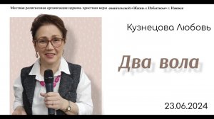 Два вола. Л.Кузнецова.23.06.24.