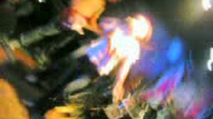 trampling rose - purple haze