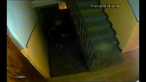 Торчки