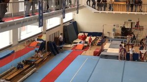Спортивная гимнастика. Янина. 3 взрослый разряд.