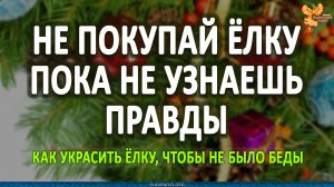 Не покупай ёлку, пока не узнаешь этого. Алексей Орлов