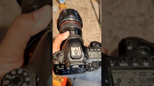 Canon EOS 6d? | preview #canon #eos6d