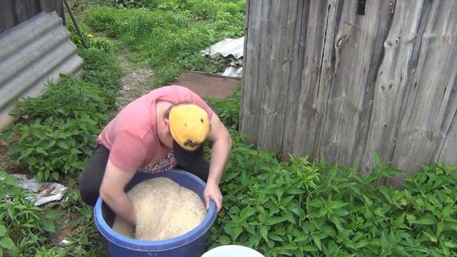 ?Чем кормить уток?? Смотрите зерносмесь для уток! Растут как на дрожжах! Дешевый корм для уток?!