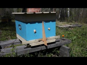 куда идут отводки с запасными матками.