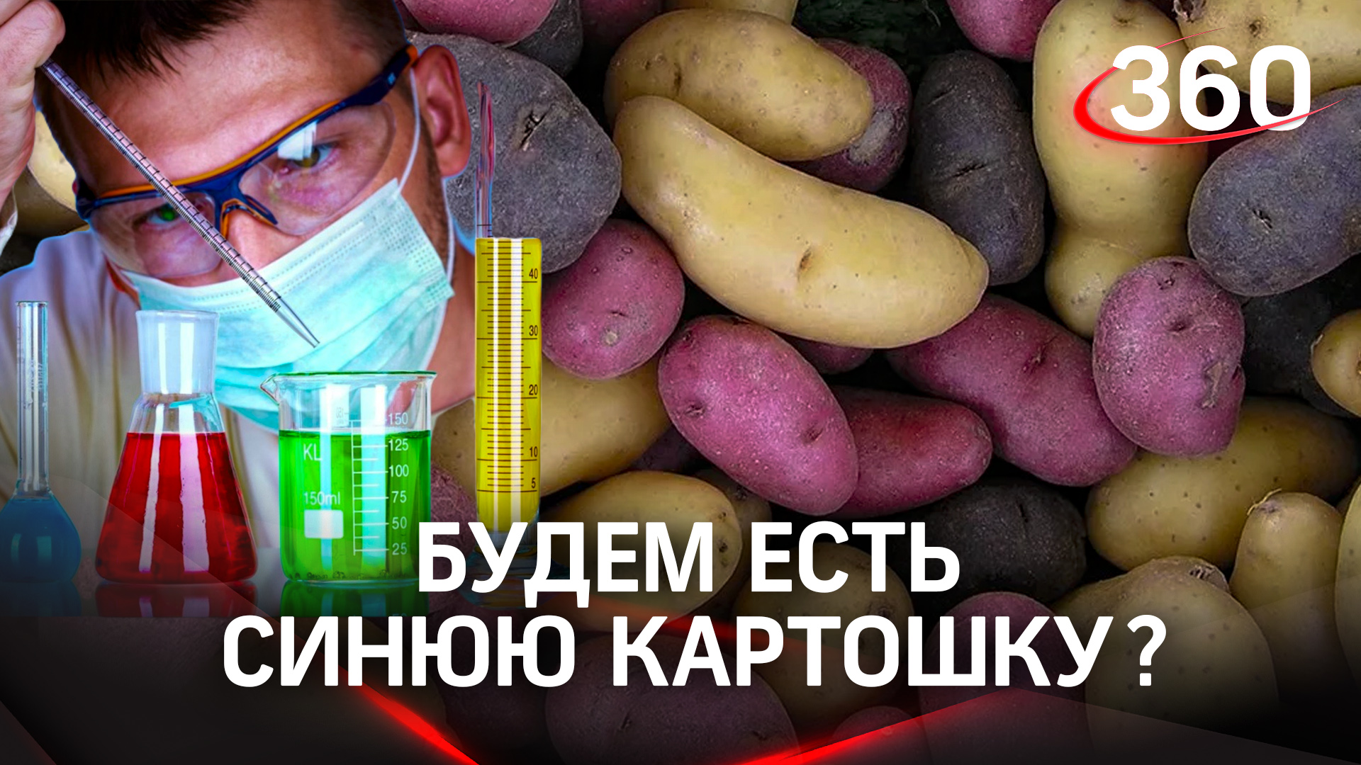 Больше картофеля: разработки селекционеров внедрят в производство
