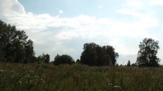 На Полях смотреть онлайн