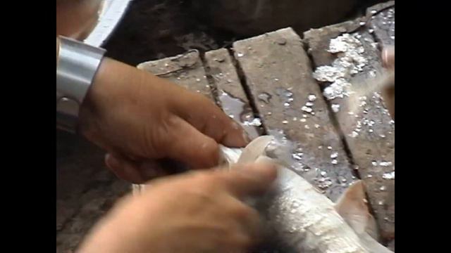 В гостях у лесника  Кабардино-Балкария. 24 июня 2004 г. смотреть онлайн