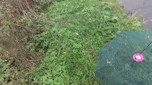 Как поймать живца в ноябре?