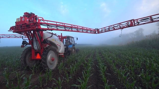 Внекорневая подкормка КУКУРУЗЫ Росагротрейд КСС (5290) / Полевые РАБОТЫ / Подкормка по Листьям. смотреть онлайн