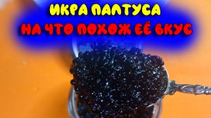 Икра палтуса / На что похожа по вкусу и почему она черная