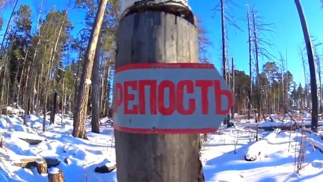 Наше знакомство с зимовьями Петровича. Тайга| Снег| Скальник| Зимовьё