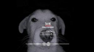 Bakr - Зеленые глаза