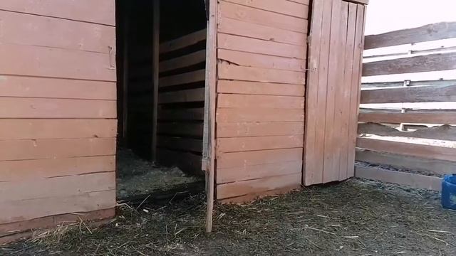 Очень хитрый козленок. смотреть онлайн