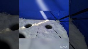 Рыбалка в Де-Кастри 06.01.2019 Хороший клев зубаря и наваги.