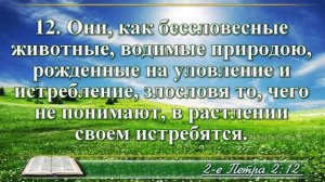 Второе послание Петра глава 2 читает Бондаренко
