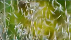 Пришёл сон.