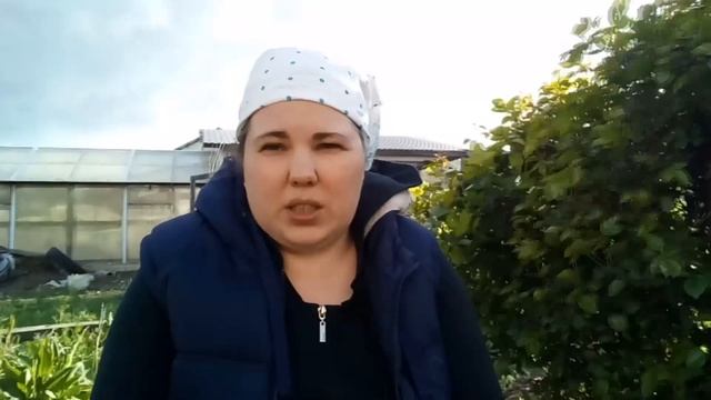 Как мы растим цыплят / Простые правила разумного подхода смотреть онлайн