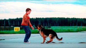 В прокат выходит фильм "Пальма"